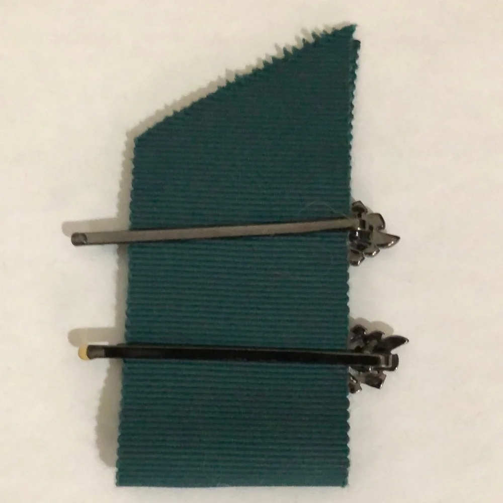 Banana Republic Black Diamond Leaf Hairpins